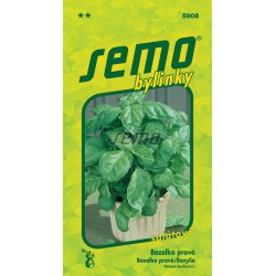 SEMO Bazalka pravá Lettuce Leaf 5908 1g