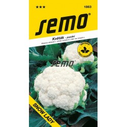 SEMO Karfiol Snow Lady 1863 2g