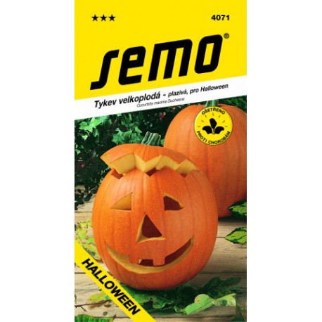 SEMO Tekvica plazivá HALLOWEEN 4071 2g