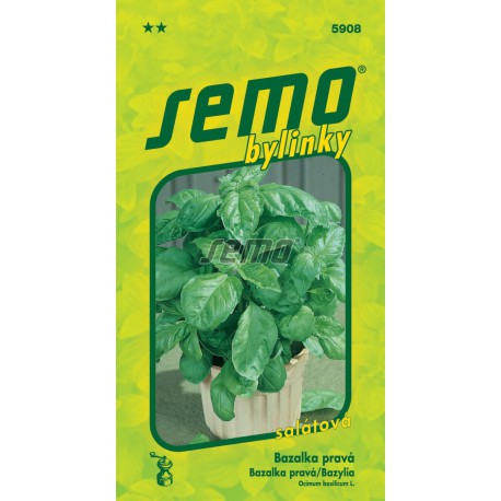 SEMO Bazalka pravá Lettuce Leaf 5908 1g