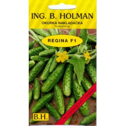 HOLMAN Uhorka nakladačka hruboostná REGINA F1 2,5g