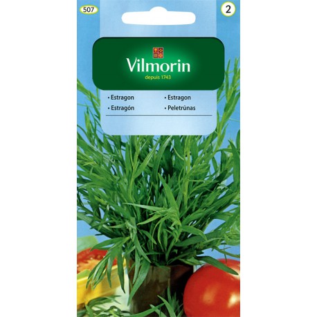 VILMORIN Estragón 507 0,1g