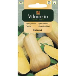 VILMORIN Tekvica BUTTERNUT 705 1g