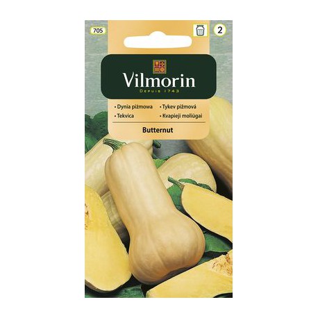 VILMORIN Tekvica BUTTERNUT 705 1g