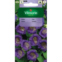 VILMORIN Kóbea popínavá 460/0,5g