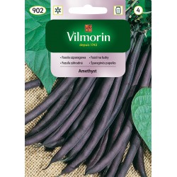 VILMORIN Fazuľa AMETHYST na lusky 902 30g