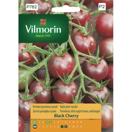 VILMORIN Rajčiak vysoký BLACK CHERRY P782 0,2g