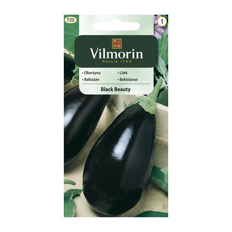 VILMORIN Baklažán BLACK BEAUTY 725