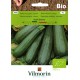 VILMORIN BIO Cuketa Black Beauty P958 P2