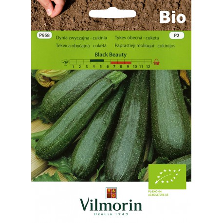 VILMORIN BIO Cuketa Black Beauty P958 P2